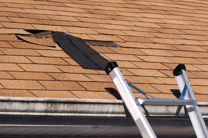 Lumberton Roofing Experts